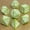 Green, variant on 7pcs Polyhedral DND Dice, for RPG,Role Playing Table Board Game, Red