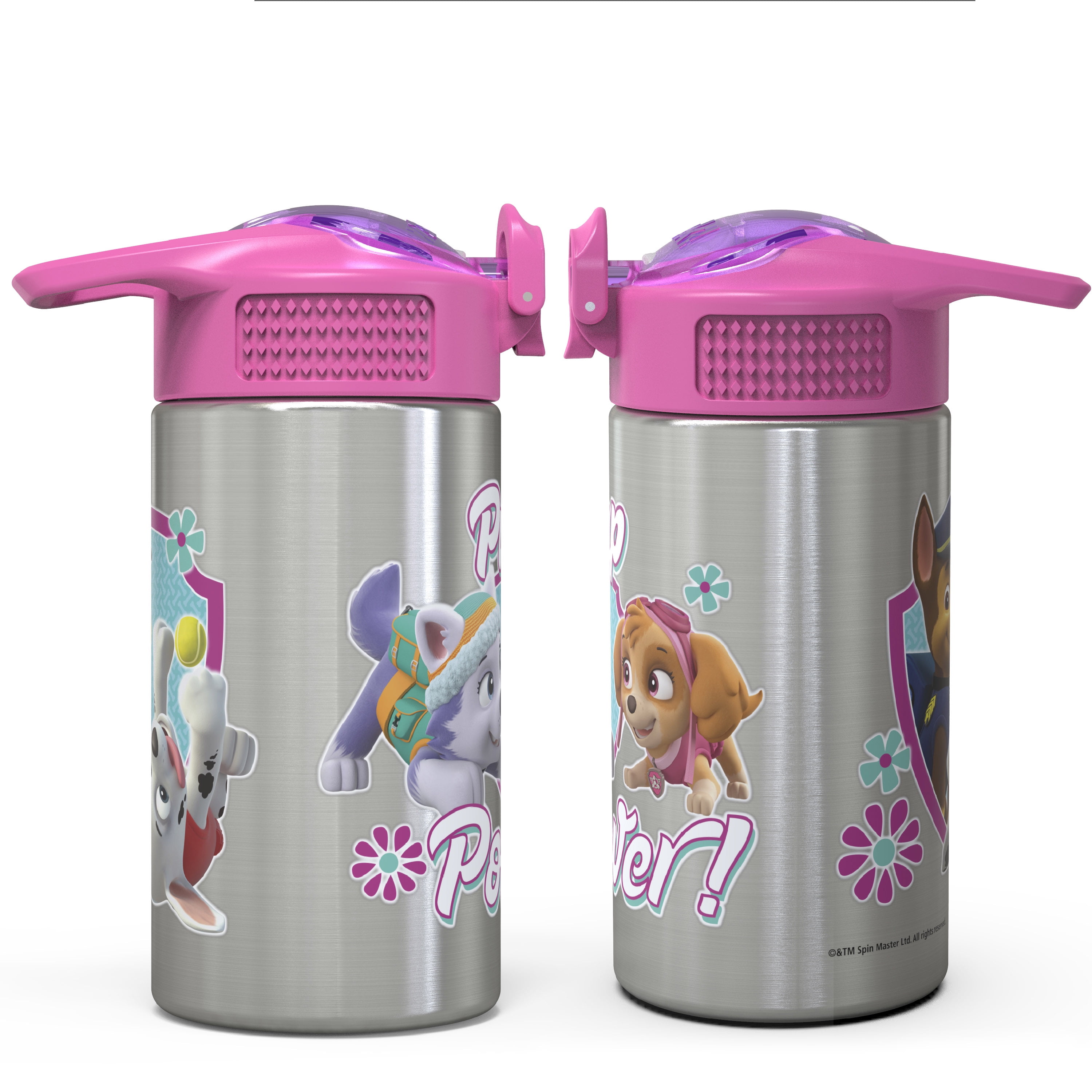 Zak Designs 15.5 oz Kids Water Bottle Stainless Steel with Push-Button Spout and Locking Cover, Paw Patrol Skye