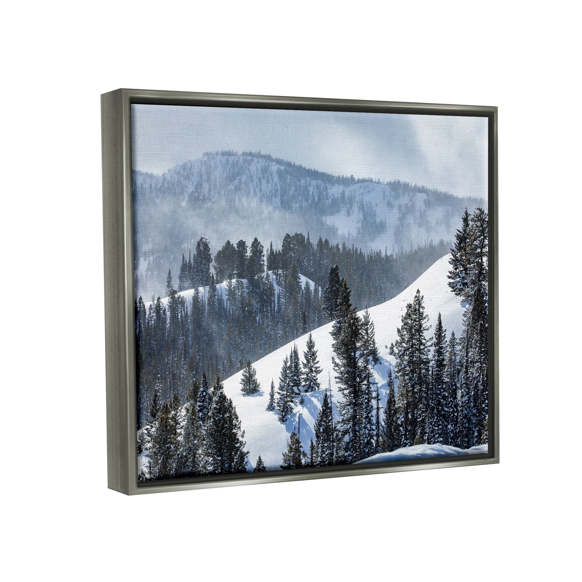 Stupell Industries Quiet Snowy Mountain Slopes Scattered Fir Trees Photograph Luster Gray Floating Framed Canvas Print Wall Art, Design by Steve Smith