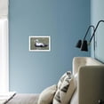 thumbnail image 5 of Common Eider, Framed Art Print Wall Art by abzerit Sold by Art.Com, 5 of 5