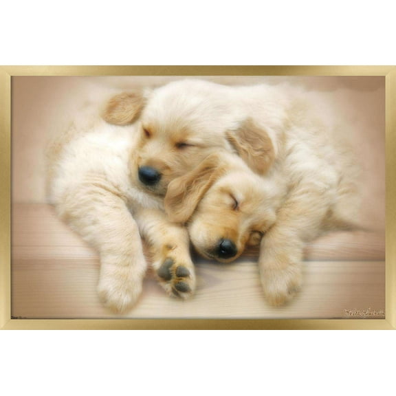 Keith Kimberlin - Puppies - Golden Retrievers Cuddling Wall Poster, 14.725" x 22.375", Framed
