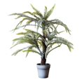 thumbnail image 4 of Artificial Tree Boston Fern, 4 of 4
