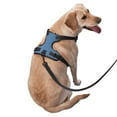 thumbnail image 3 of Bingfone Blue Gingham No Pull Dog Vest Harness For Small Medium Large Dogs Strap For Puppy Walking,Training,Dog Harness-X-Large, 3 of 9