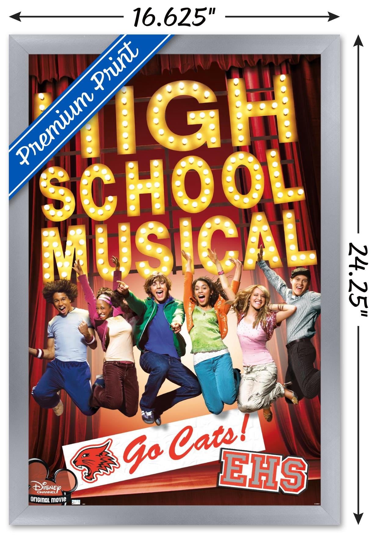 High School Musical - Go Cats! Wall Poster, 14.725" x 22.375" Framed