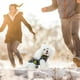 thumbnail image 5 of Ropa Impermeable Para Perros, Chaqueta De Invierno Para Mascotas Con Arnés, Chaleco Cálido A Prueba De Viento Para Perros Pequeños, Abrigo Para Cachorros, Ropa Para Mascotas Yuarrent PT002758-08, 5 of 6
