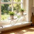 thumbnail image 2 of YuanGuangQ Double Tier Iron Plant Stand, European Style Floor Standing Flower Pot Display Rack, Sturdy Plant Storage Shelf for Living Room Balcony Window Sill Home Use, 2 of 6