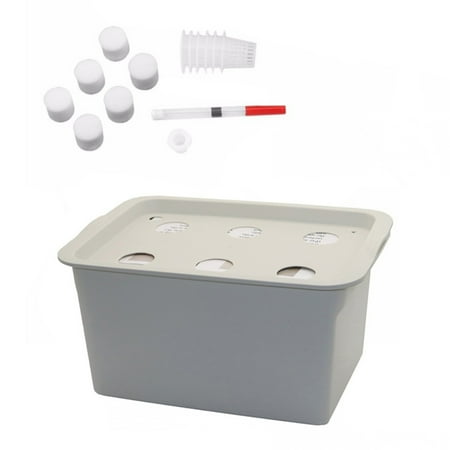 

ruhuadgb Indoor 6 Holes Hydroponic System Soilless Cultivation Plant Nursery Box Grow Kit