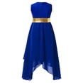 thumbnail image 2 of TiaoBug Robe de Danse Color Block pour Filles Enfants Robe d'Église Tunique Lituricale Métallique Sans Manches Robe de Culte Bleu Royal 16, 2 of 5