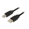 StarTech.com USB2HAB6 6 ft USB 2.0 Certified A to B Cable - M/M - 2m USB A to B Cable