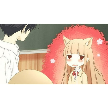 Tanaka-Kun Is Always Listless [Premium Box Set] [Blu-ray]