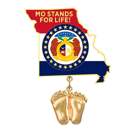 Precious Feet, 14K Gold Plated, Missouri Flag Jewelry, Lapel Pin