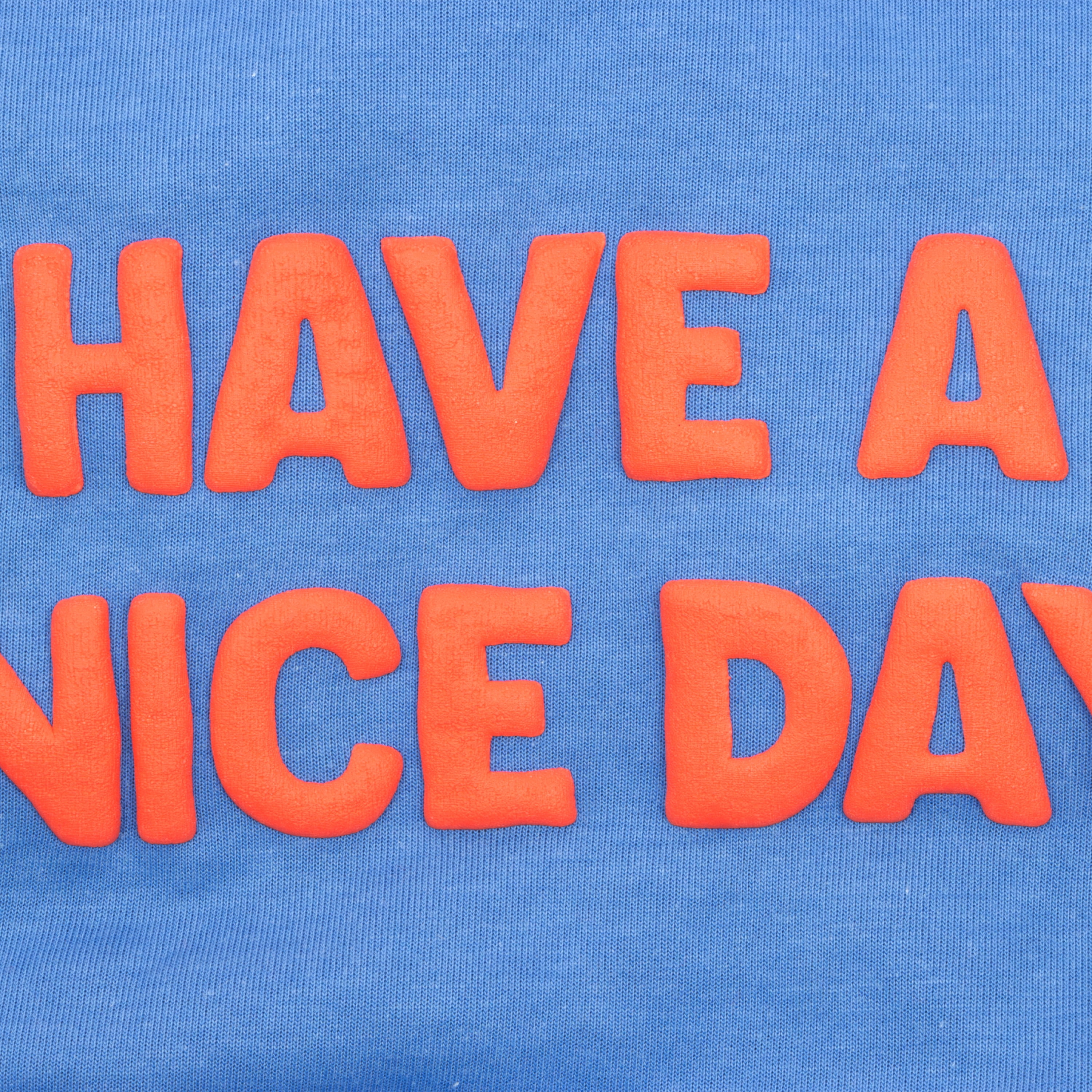 Oodles Have A Nice Day Fall Dog Hoodie, Blue, Small
