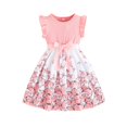 thumbnail image 1 of Robes pour Petites Filles Enfants Tout-Petits Filles Été Col Rond Manches à Volants Imprimés de Fleurs Robe Trapèze Décontractée avec Nœud Robe pour Tout-Petit Rose 8 Ans-9 Ans, 1 of 7