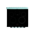 thumbnail image 5 of Unique 30' Classic Retro Induction Range, Ocean Mist Turquoise, 5 of 8