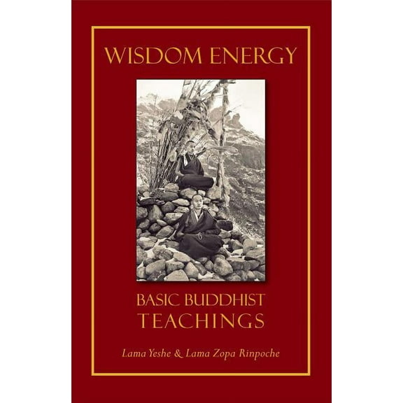 Wisdom Energy : Basic Buddhist Teachings (Paperback)