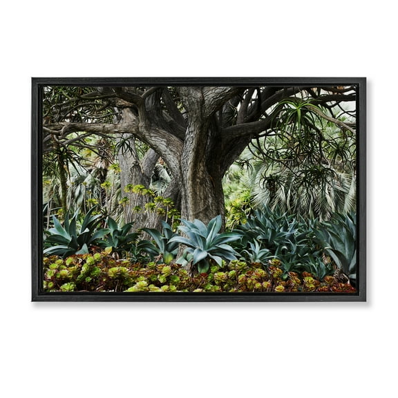 Stupell Industries Lush Tropical Vegetation Landscape & Nature Photography Black Floater Framed Canvas Art Print Wall Art, 25 x 17