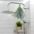 thumbnail image 5 of 12 Pcs Dried Preserved Eucalyptus Stems & Lavender Flowers Bundle for Shower, 17'' Hanging Eucalyptus Plant Leaves, Aromatic Self-Care Shower Plants, Home, Shower Decor, 5 of 8