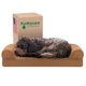 thumbnail image 1 of Cama para Perros Furhaven Pet marrón tostado con Gel Refrescante y Espuma Viscoelástica, Sofá Acolch, 1 of 11