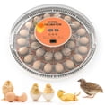 thumbnail image 1 of Incubadora Digital 30 Huevos Giro Automatico Pollos Y Aves, 1 of 4