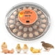 thumbnail image 1 of Incubadora Digital 30 Huevos Giro Automatico Pollos Y Aves, 1 of 4
