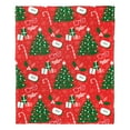 thumbnail image 4 of A Christmas Story A Christmas Story Warner Bros Kids Silk Touch Throw Blanket, 50 x 60 inches, 4 of 5