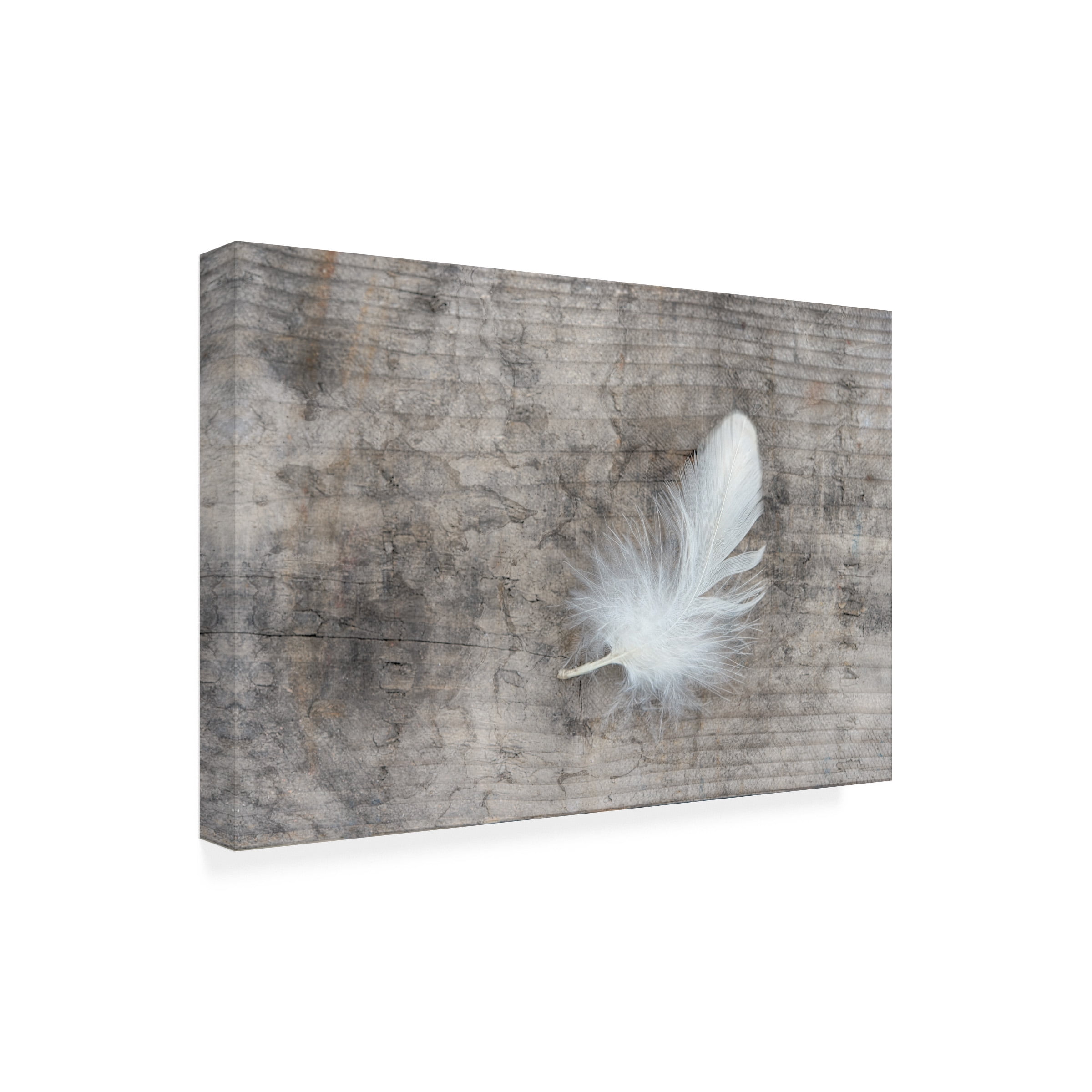 Cora Niele 'White Feather' Canvas Art