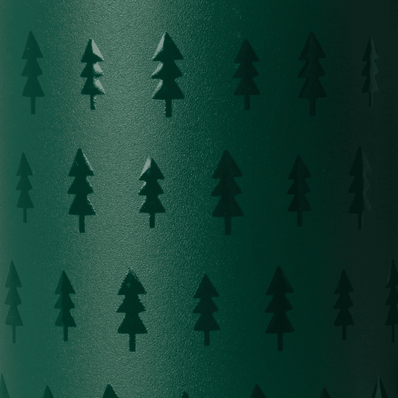 Trees Deep Forest