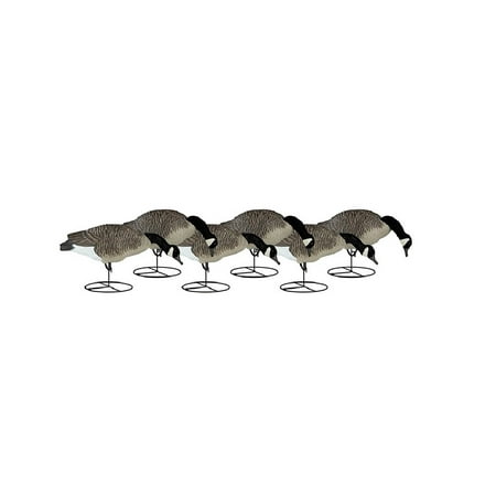 Dakota Decoy 19300 Signature Series Canada Goose Flocked Feeder 6 Pack
