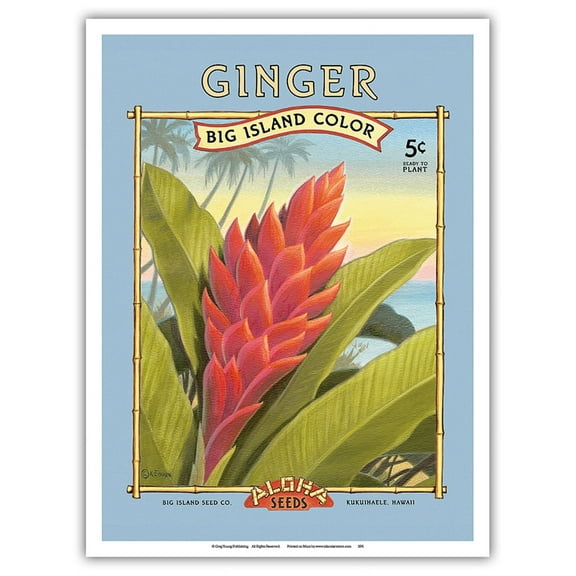Ginger - Aloha Seeds - Big Island Seed Company - Big Island Color - Vintage Seed Packet by Kerne Erickson - Master Art Print (Unframed) 9in x 12in