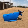 thumbnail image 2 of Something Steer Dummy, 2 of 4