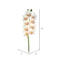 thumbnail image 2 of Vickerman 33" Contemporain Tissu Tige Cymbidium en Blanc, 2 of 2