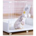 thumbnail image 3 of Ultimate Outdoor Pet Rabbit Cage Stylish Home Rabbit Villa Cozy Rabbit Nest for Happy Bunnies, 3 of 3