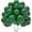 Dark green, variant on JOYYPOP 12-Inch 100-Pack Air-Filled Dark Purple Balloons with Stands, Latex Party Decor