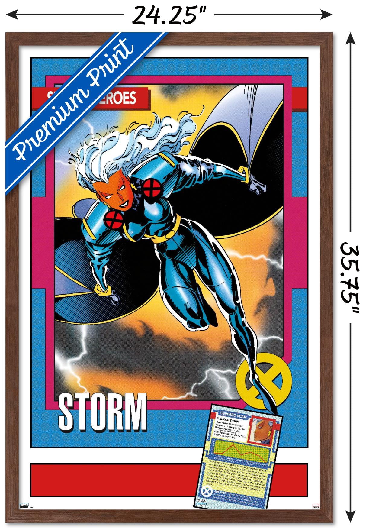 Marvel Trading Cards - Storm Wall Poster, 22.375" x 34" Framed