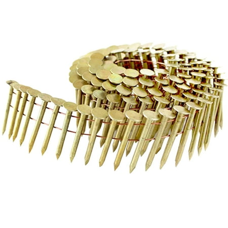 

Coil Roofing Nails 1-Inch × .120-Inch 15 Degree Round Head Smooth Shank Electro Galvanized Roofing Nails for Coil Roofing Nailer Gun (2 880 Counts)