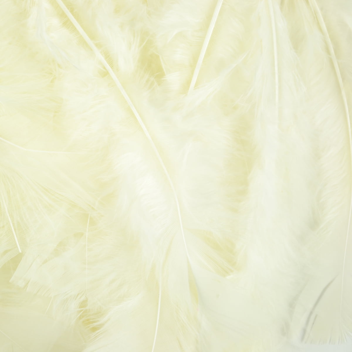 Turkey Flat Feathers 14GM Eggshell Craft Feathers DIY Arts and