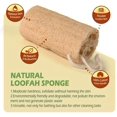 thumbnail image 4 of LOVEVER Loofah Sponge - Natural Loofah Exfoliating Body Sponge Scrubber  Bleaching Shower Loofah Body Wash Scrubbers for Skin Care in Bath Spa Shower - Removing Dead Skin (3PCS), 4 of 5