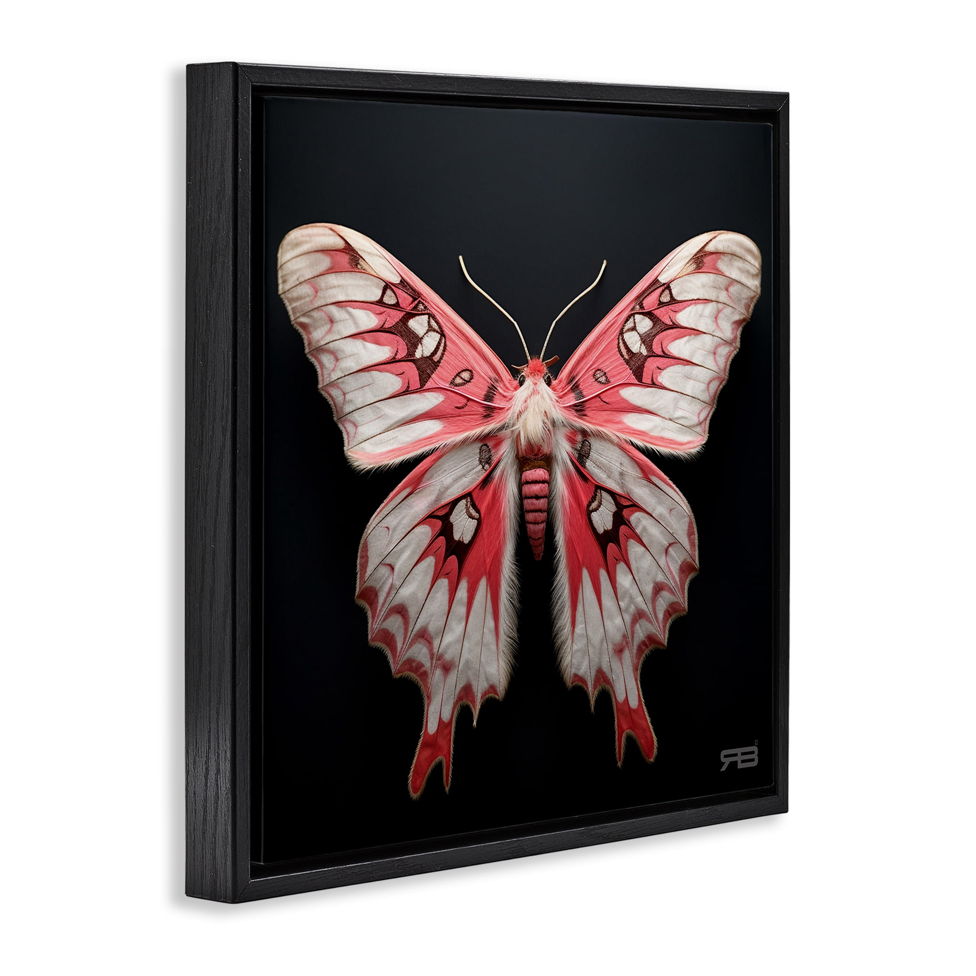 Stupell Industries Red & White Moth Animals & Insects Painting Black Floater Framed Canvas Art Print Wall Art, 18 x 18