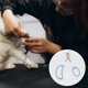 thumbnail image 2 of 1 Pc Durable Single Hole Pet Nail Clippers for Dog for Cat 3.94"x2.56" Blanco Azul, 2 of 6