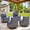 Gray Wicker, variant on POCASSY Patio Swivel Chairs Set of 2, Outdoor Rocking Chairs with Wood Grain Finish Square Armrest All Weather Wicker Glider Rocking Patio Chairs for Porch Deck Balcony, Gray/Gray