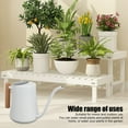 thumbnail image 4 of ELEGANTE RIEGO DE ACERO INOXIDABLE CONDE MADERA PARA PLANTAS DE INTERIOR Y EXTERIOR, 4 of 7