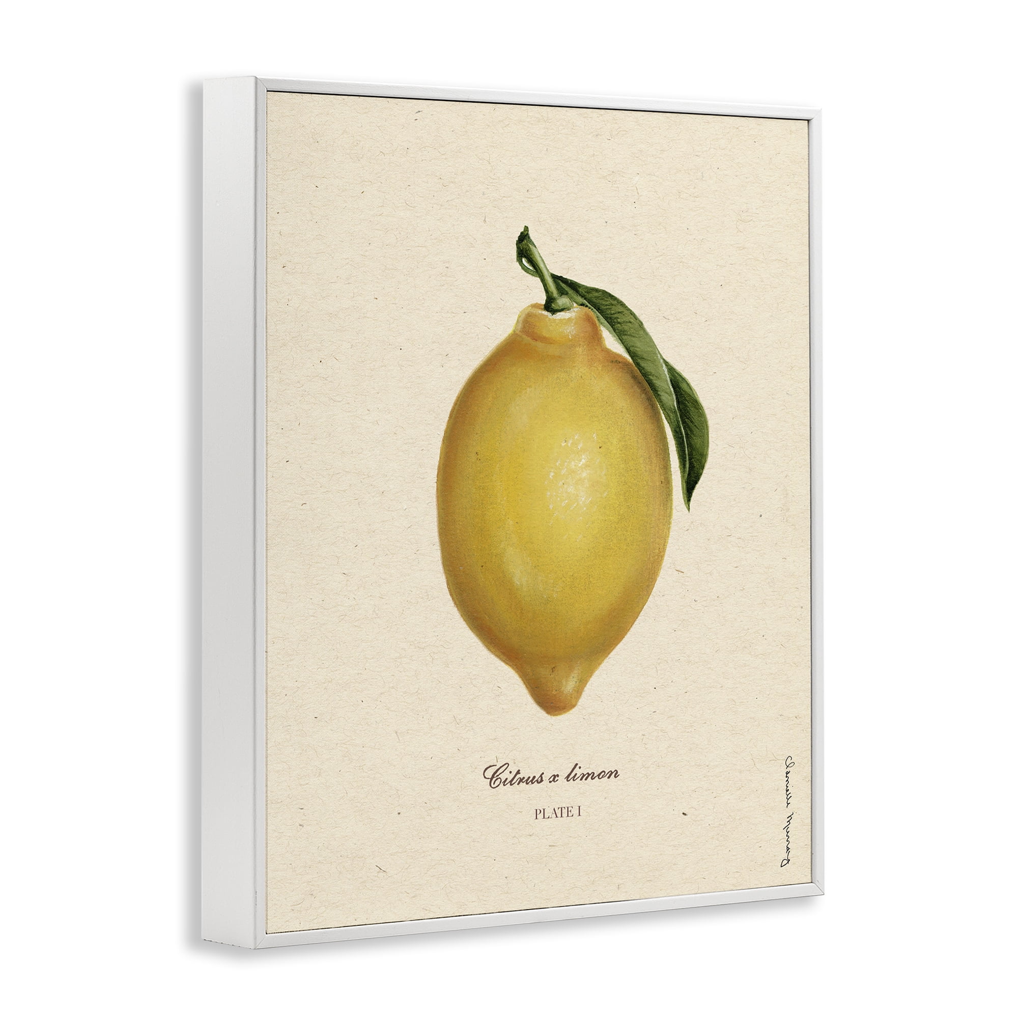 Stupell Industries Lemon Fruit Portrait White Framed Giclee Art, design by Danielle Murray