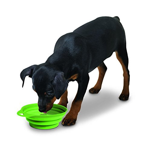 walmart dog food bowls