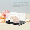thumbnail image 5 of FELTECHELECTR Transparent Display Case for Specimens Minerals Storage Versatile Plastic Multi Pieces, 5 of 5