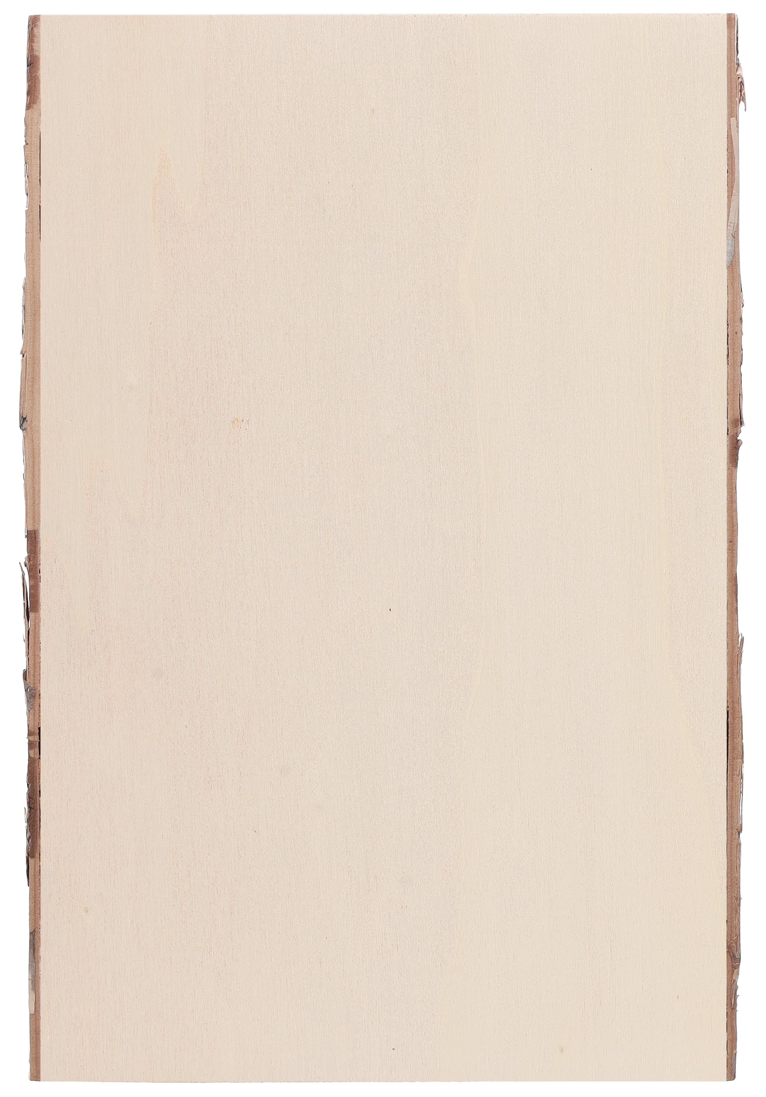 Hampton Art Basswood Rectangle W/Bark Sm (LY)