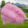 thumbnail image 4 of 10 piezas/lote de plumas de avestruz naturales de color rosa rojo para manualidades, decoración de bodas, fiestas, accesorios, centro de mesa, carnaval, 4 of 5