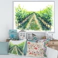 thumbnail image 2 of Designart 'Rural Scene Vineyard Path' Traditional Framed Canvas Wall Art Print, 2 of 5