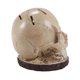 thumbnail image 3 of Skull Knife Holder for Kitchen Storage, Skeleton Knife Holder, 3 of 5