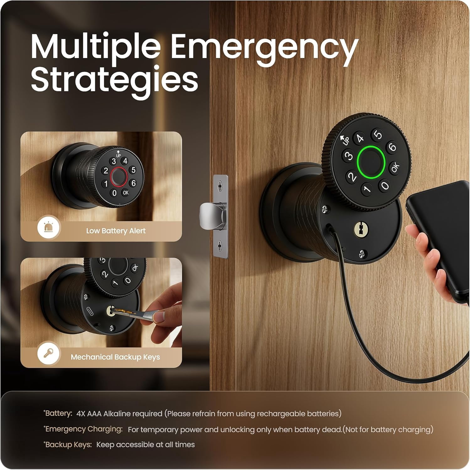 Keyless Entry Fingerprint Door Knob, Smart Biometric Door Lock with Keypad Passcode Door Knob with Auto-Lock for Front Door, Bedroom, Gate & Office