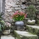 thumbnail image 4 of paquetes de flores artificiales arbustos de boj falsos resistentes a los rayos UV, no se desvanecen,jardín, maceta colgante, interior, exterior, porche, patio, oficina, decoración de boda (rosa) brillar Juguete, 4 of 6